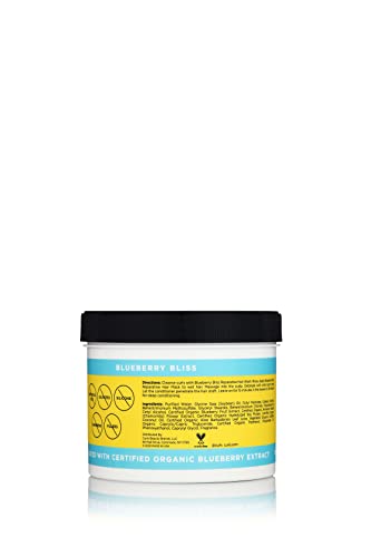 Curls Blueberry Bliss Reparative Hair Mask - Deep Conditioning - Repair, Protect, Restore, and Grow Your Detangle and Moisturize Hair - All Curly Hair Types, 24 Oz