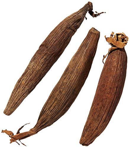 KOPABANA Grains of Peace | Seeds of Peace | Graines de la Paix | ndidam | jujube | African Spices & seasonings | 3 pcs