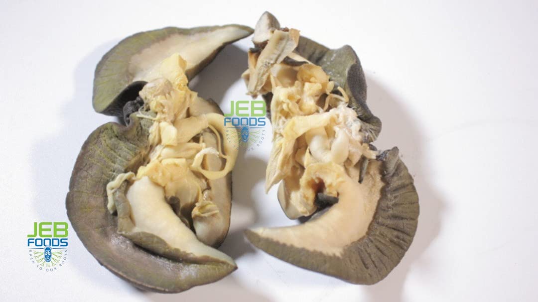 JEB FOODS Giant African land snail Jumbo Size Freeze Dried (3 In a Pack)