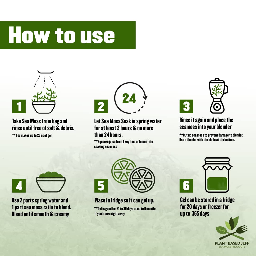 Plant Based Jeff Wildcrafted Raw (1) 2 Ounce Bag of Sea Moss, Makes up to 40 oz of Gel, Natural Superfood, Vegan