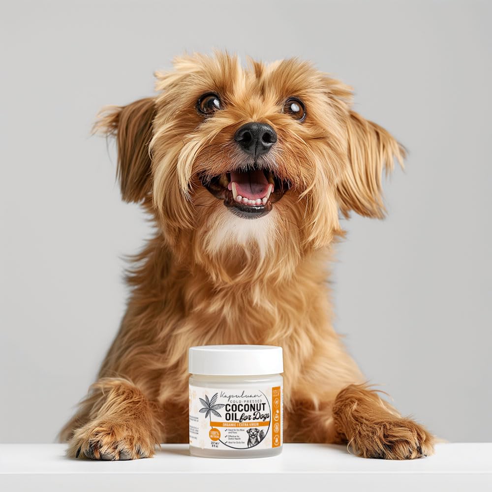 Kapuluan Organic Coconut Oil for Dogs, 8-oz ā Premium Cold-Pressed, Healthy Coat & Skin ā All-Natural Dog Paw and Nose Moisturizer for Healthy Skin, Shiny Coat, and Digestive Support ā 100% Pure
