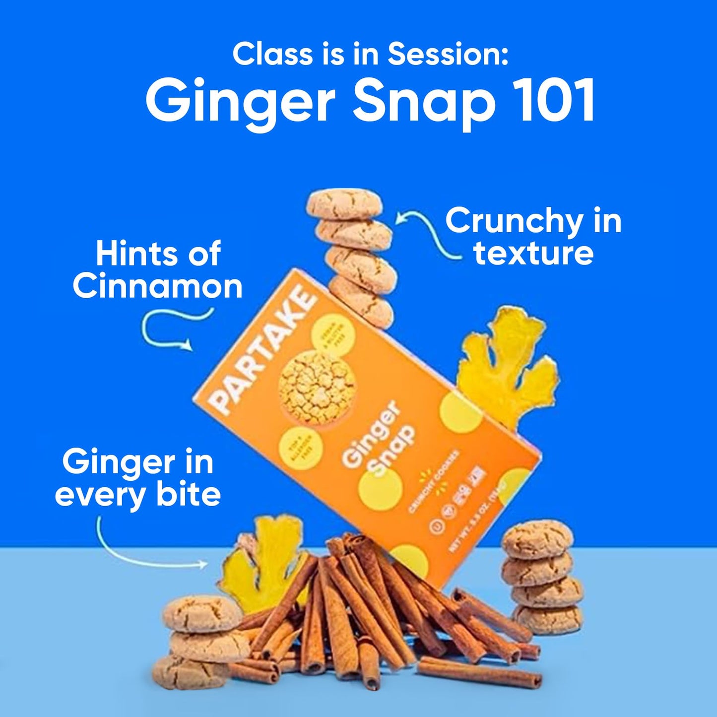 Gluten Free Crunchy Ginger Snap Cookies by Partake | Vegan (5.5oz, 6 packs) | Non-GMO, Allergy-Friendly | No Peanuts, Soy, Dairy, Tree Nuts