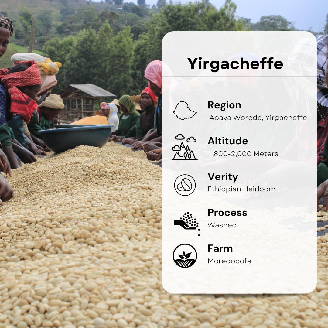 Lily's Coffee, Unroasted Green Coffee Beans, Ethiopian Yirgacheffe Washed Processed, Grade1, Specialty Grade Arabica Beans, 3 LBS