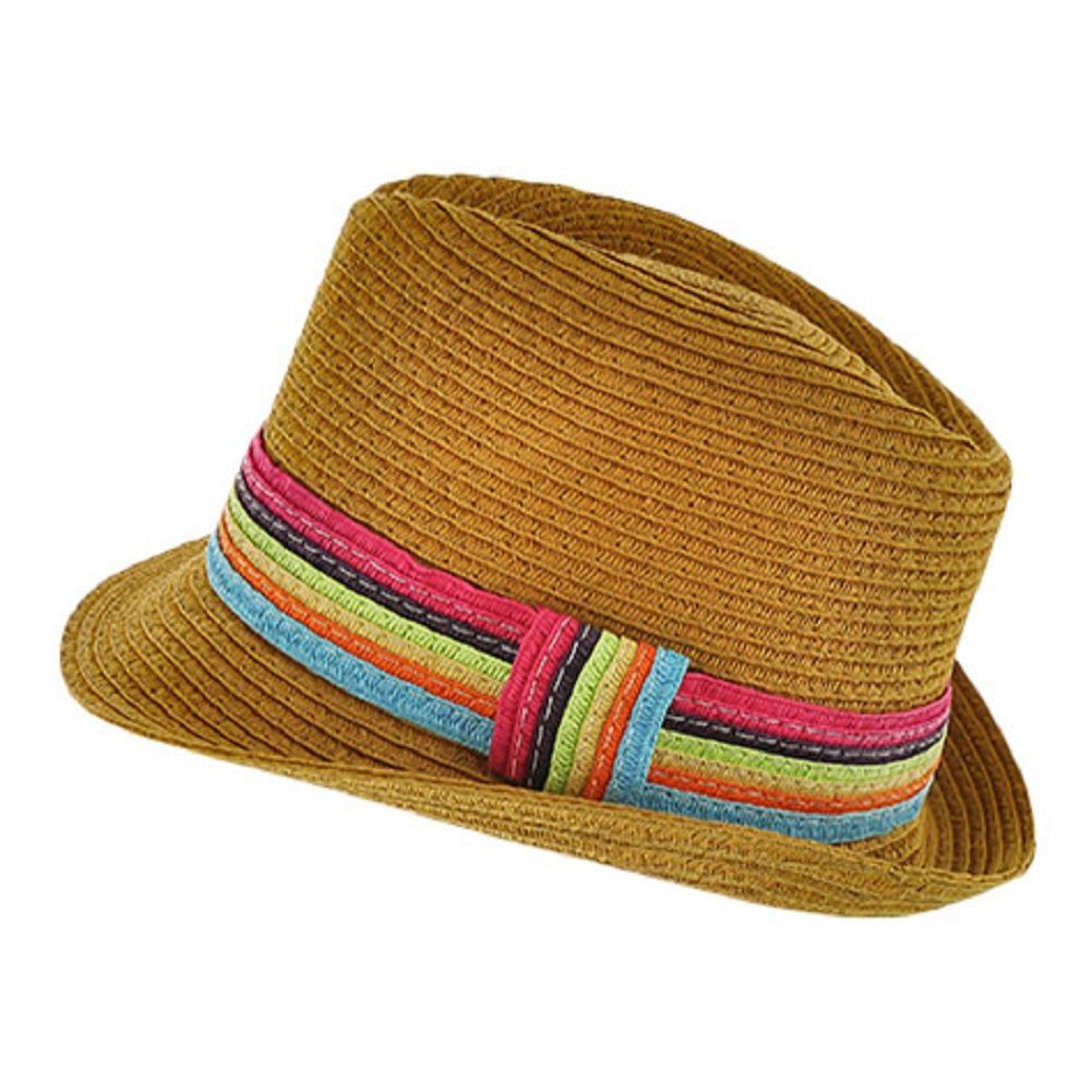 2Chique Boutique Women's Trendy Multi Color and Camel Fedora