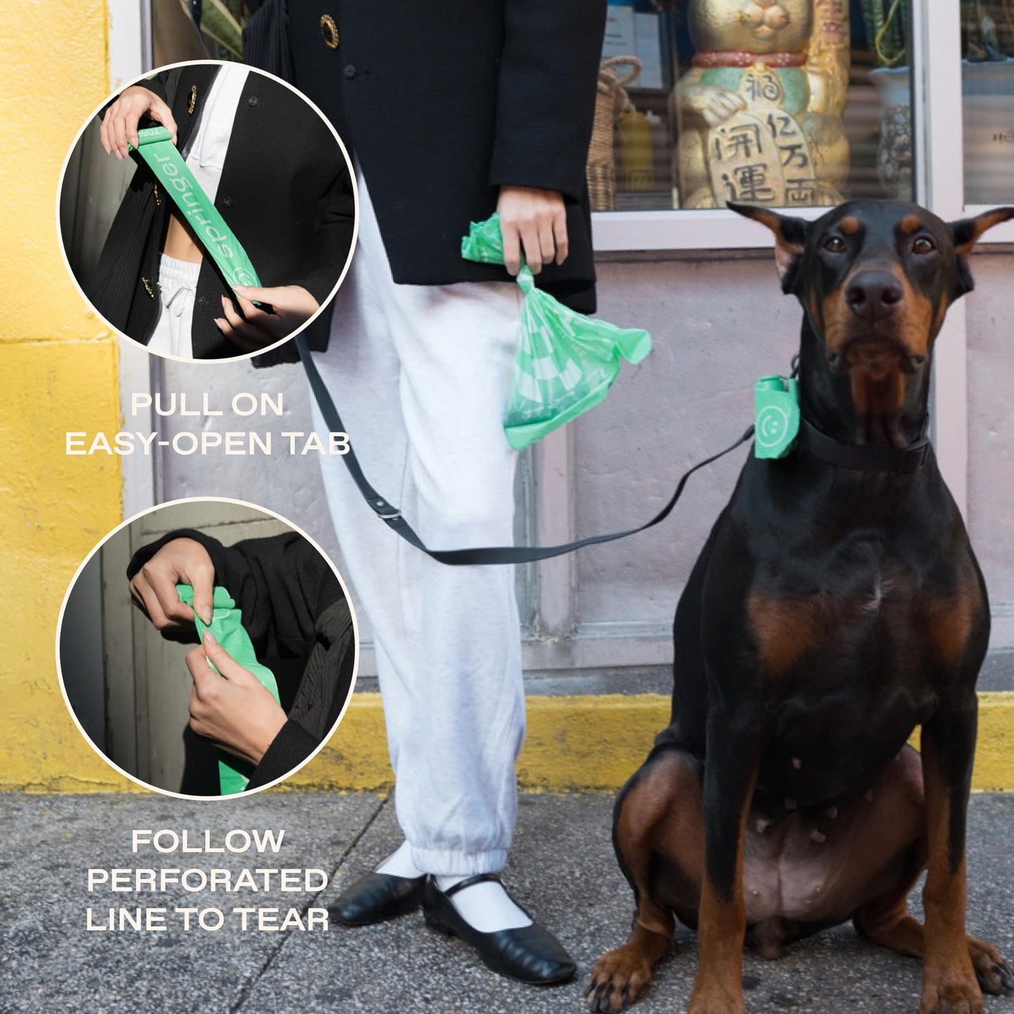 Springer Dog Poop Bag Dispenser + Roll - Springer Green - Bags made from 70% Post-Consumer Recycled Plastic | Designed with Easy-Open Tabs | Minimal Poop Bag Holder - No Dangle