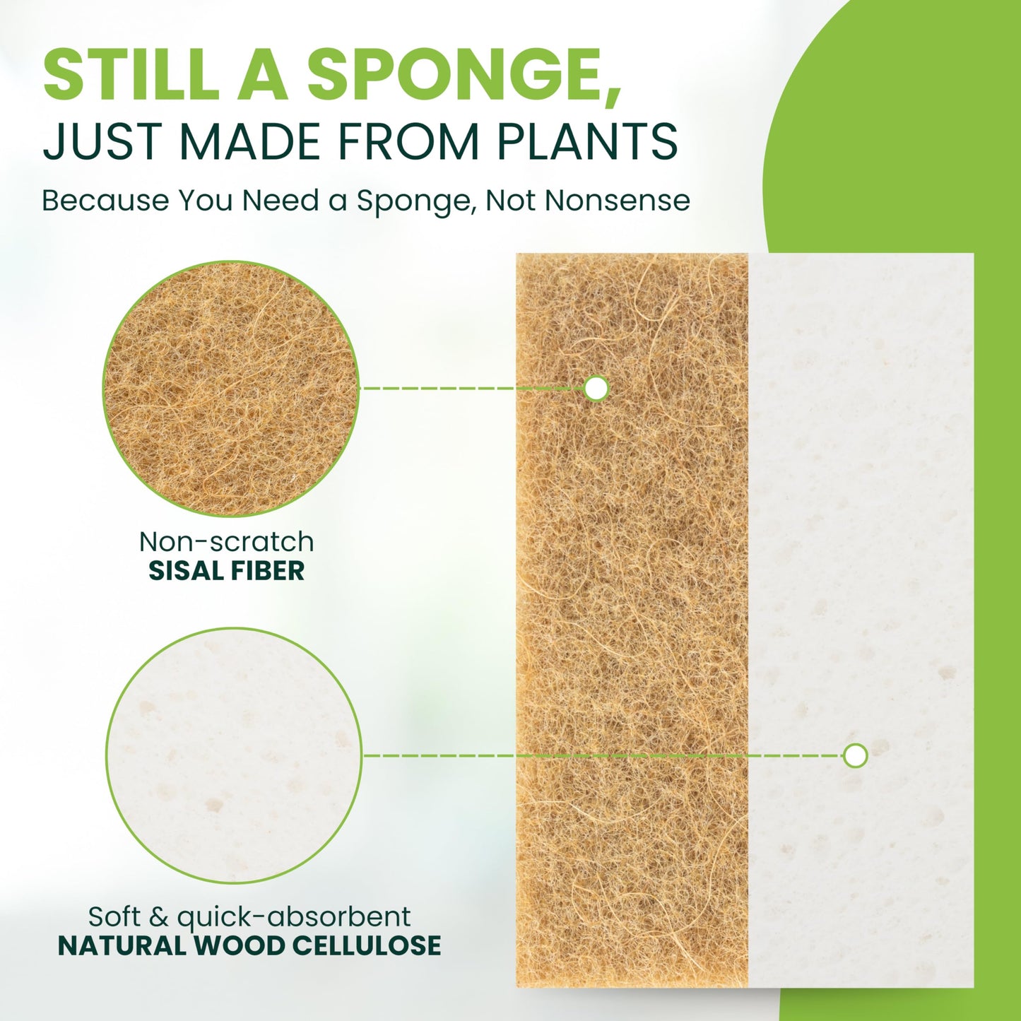 Tieralia Plant-Based Sponges - 12 Pack - 100% Compostable, Non-Scratch, Odor-Free - Made from Wood Cellulose & Sisal for Kitchen Cleaning