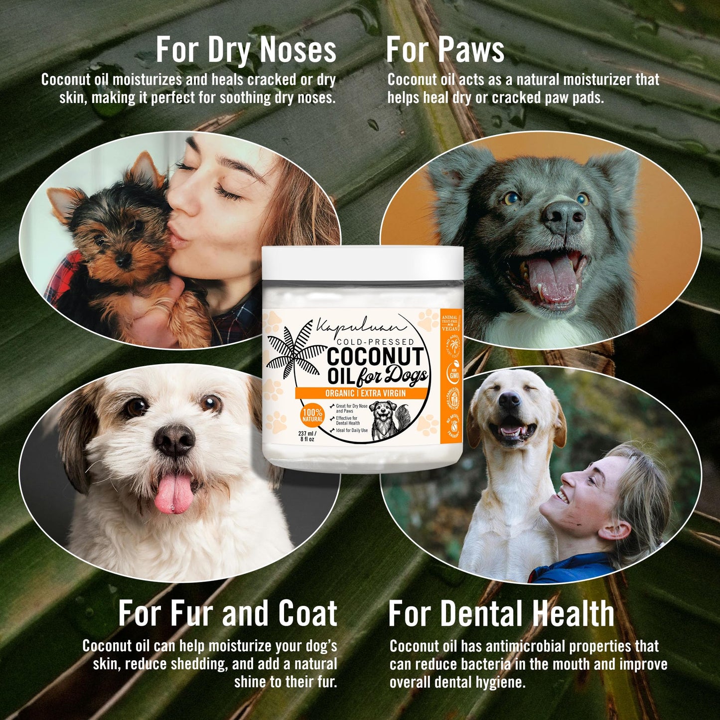 Kapuluan Organic Coconut Oil for Dogs, 8-oz ā Premium Cold-Pressed, Healthy Coat & Skin ā All-Natural Dog Paw and Nose Moisturizer for Healthy Skin, Shiny Coat, and Digestive Support ā 100% Pure