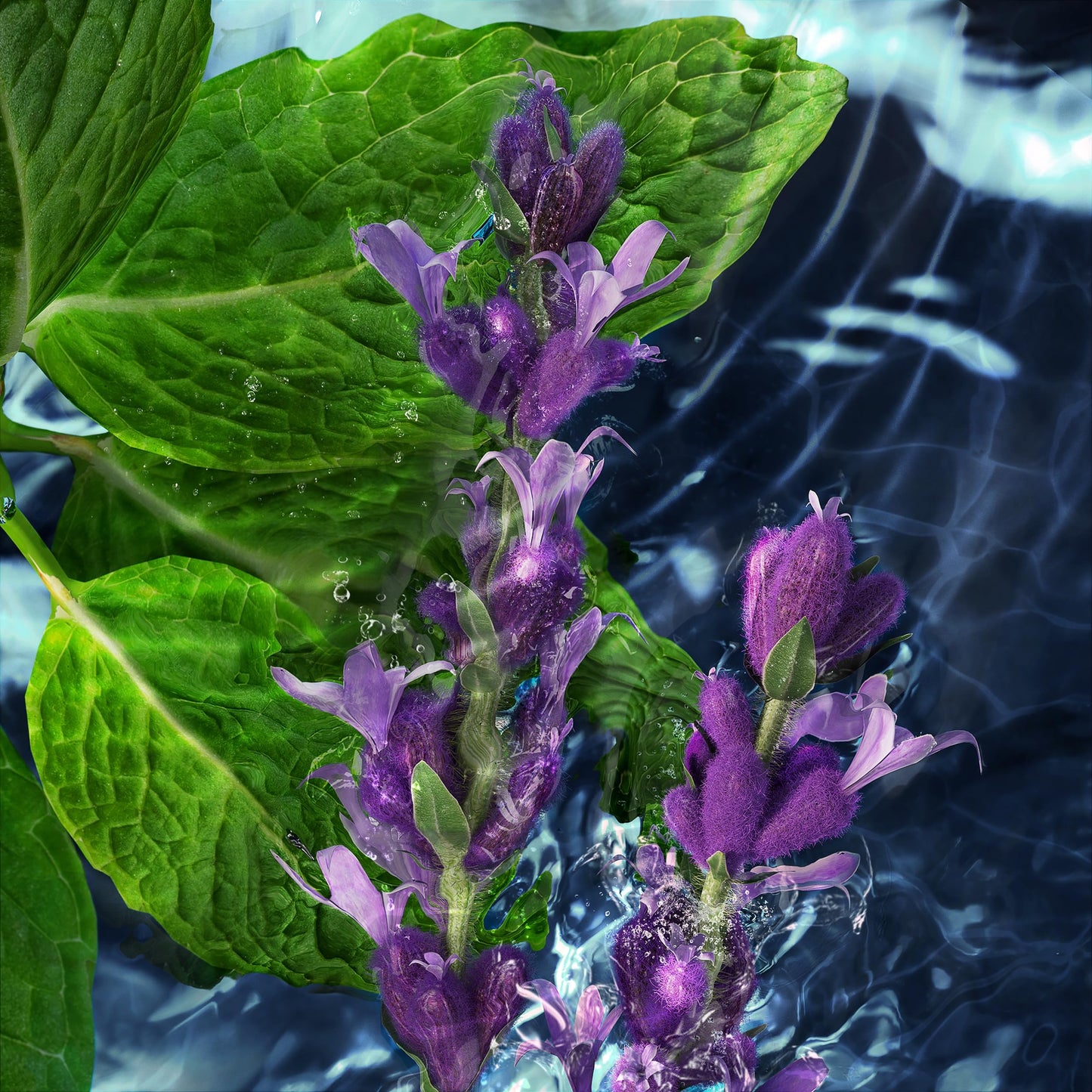 Davidoff Cool Water Men's Deodorant Spray – With Notes of Coriander, Mint, Lavender & Amber – 5 fl oz