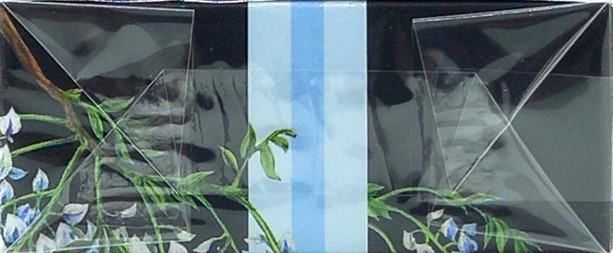 NEST WISTERIA BLUE EAU DE PARFUM SPRAY FOR WOMEN 1.7 Oz / 50 ml BRAND NEW ITEM!
