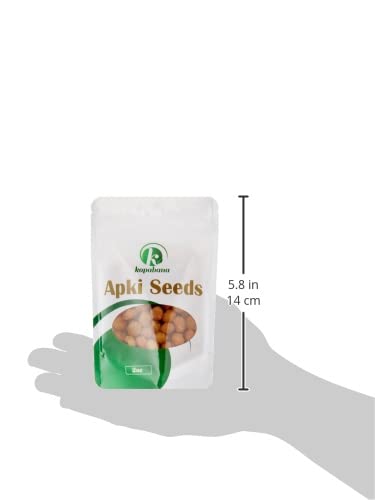 KOPABANA Organic Akpi Seeds | Djansang Spice | 2oz