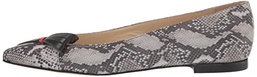 Tiannia Barnes Women's Ballet Flat, 9 Multi