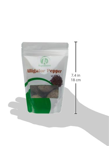 KOPABANA Jumbo Organic Alligator pepper Alligator pepper, Mbongo spice | Pepper Spice |Ataare |Guinea Pepper | Alligator Pepper | Grains of Paradise | Lizard Peppe (64)