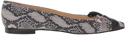 Tiannia Barnes Women's Ballet Flat, 9 Multi