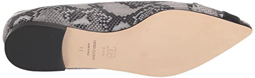 Tiannia Barnes Women's Ballet Flat, 9 Multi