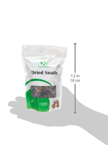 Kopabana Dried African snails| For Stewing or grilling| Various sizes| 4 oz