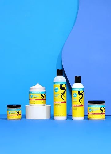 Curls Blueberry Bliss Super Rich Moisture Fix Leave In Conditioner - 12 oz, Ultra Hydrating Curly Hair Moisturizer, Smooths Hair Shaft & Helps Reduce Frizz, For Type 4 Coily Hair