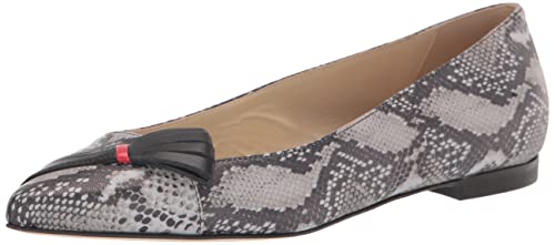 Tiannia Barnes Women's Ballet Flat, 6 Multi