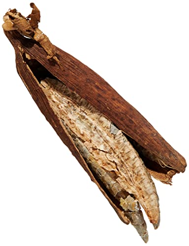 KOPABANA Grains of Peace | Seeds of Peace | Graines de la Paix | ndidam | jujube | African Spices & seasonings | 3 pcs