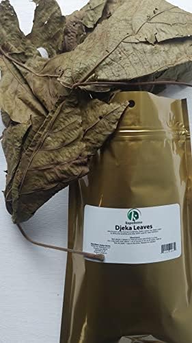 KOPABANA GREEN Djeka Leaves | ogymama | Alchornea Cordifolia dry leaves | Christmas bush | V steam herbs | Yoni care 1oz