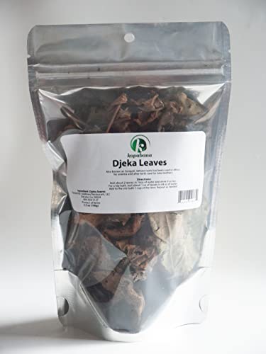 Kopabana Djeka Seeds | ogymama | Alchornea Cordifolia dry leaves| Christmas bush |V steam herbs |Yoni care | 1oz