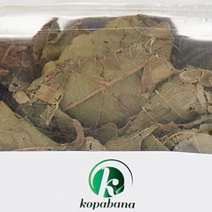 KOPABANA GREEN Djeka Leaves | ogymama | Alchornea Cordifolia dry leaves | Christmas bush | V steam herbs | Yoni care 1oz