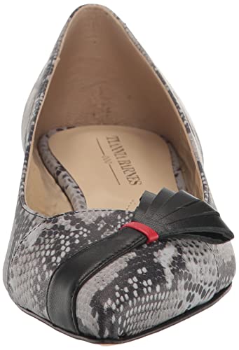 Tiannia Barnes Women's Ballet Flat, 9 Multi