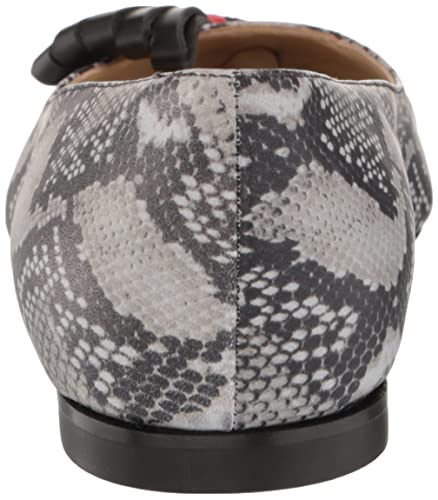 Tiannia Barnes Women's Ballet Flat, 9 Multi