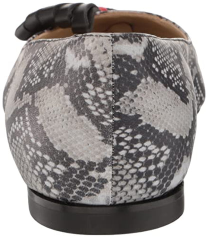 Tiannia Barnes Women's Ballet Flat, 9 Multi