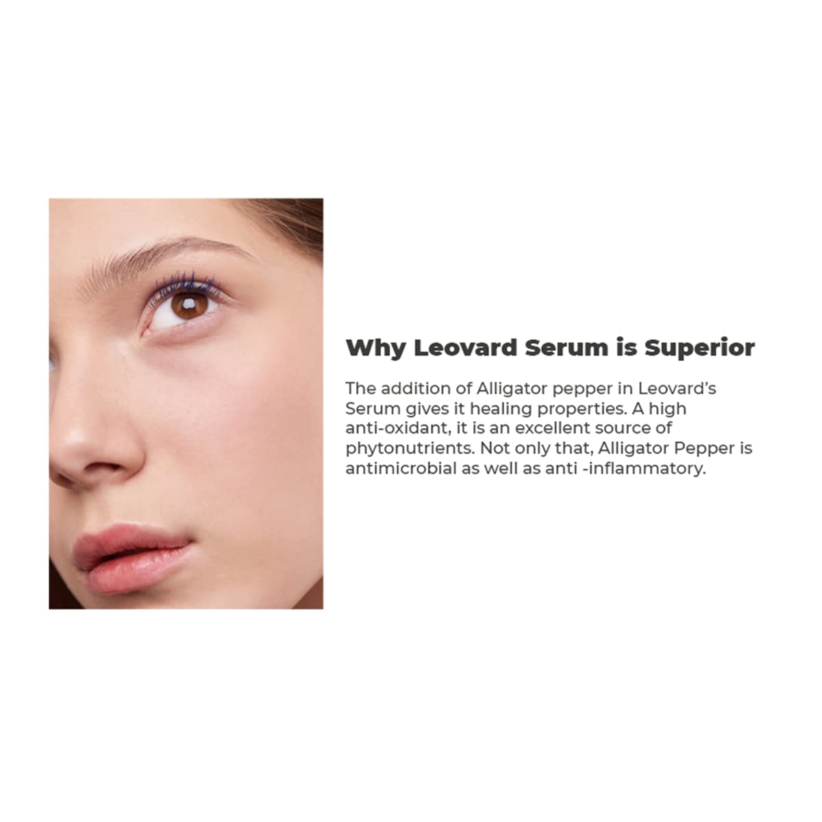 Organic Hyaluronic Acid Multi-Use Serum for Sensitive Skin - Anti Aging Aftershave Razor Bump Treatment - Made with Green tea & Aloe Vera, Chemical Free - Natural Moisturizer for Men Women - 2oz