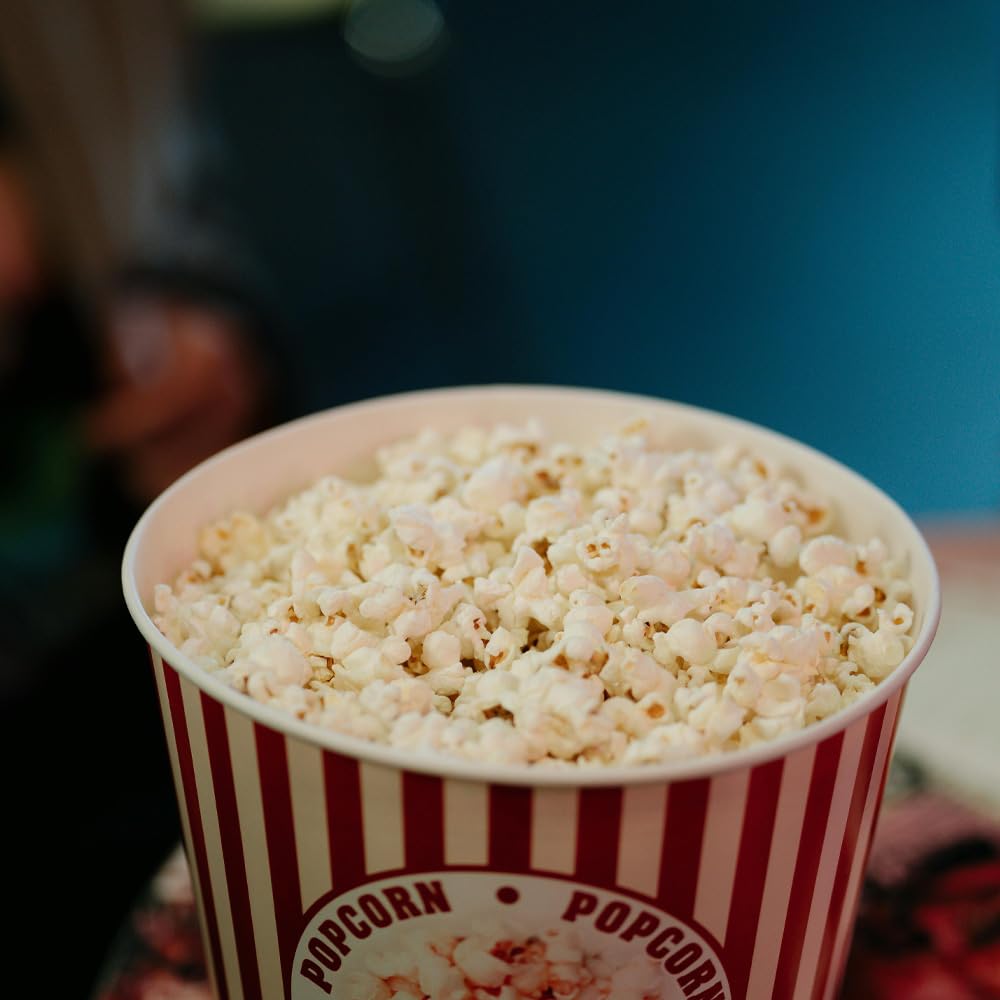 Everything But The Cheddar & Chive Seasoning | All Natural | Non GMO | Hand Crafted | 2.2 oz (62 g) | Gourmet Spice Mix | Small Batch | Artisanal Rub | Seasoning Pack | Magnetic Tin | Gustus Vitae | #238