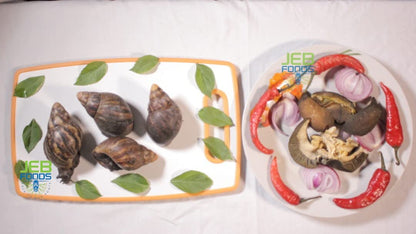 JEB FOODS Giant African land snail Jumbo Size Freeze Dried (3 In a Pack)