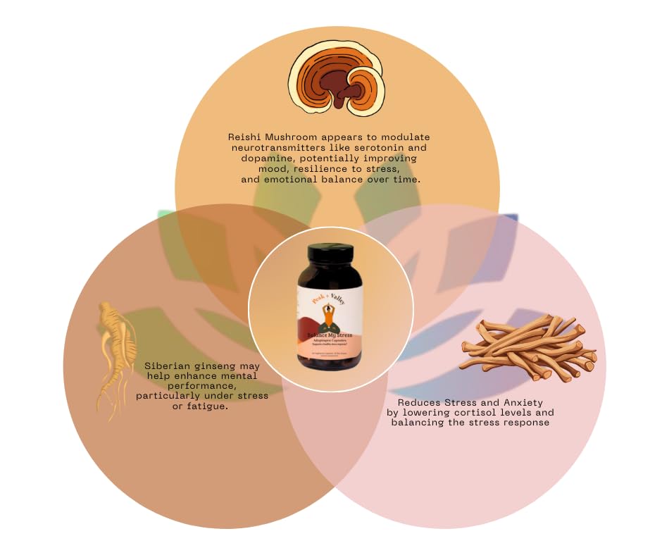 Peak + Valley Stress Relief Supplement for Mood Support Balance My Stress Capsules - Contains Adaptogens, Ashwagandha, Eleuthero Root, Reishi Mushroom Supplement - Natural Mood Stabilizer - 60 Ct