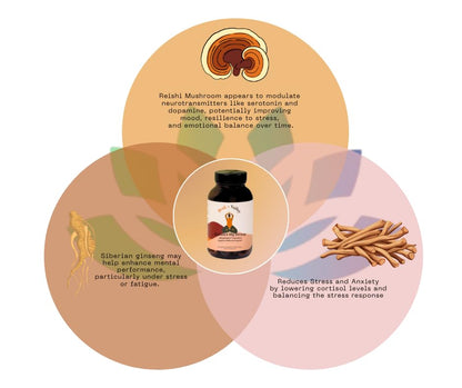 Peak + Valley Stress Relief Supplement for Mood Support Balance My Stress Capsules - Contains Adaptogens, Ashwagandha, Eleuthero Root, Reishi Mushroom Supplement - Natural Mood Stabilizer - 60 Ct