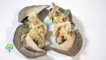 JEB FOODS Giant African land snail Jumbo Size Freeze Dried (3 In a Pack)