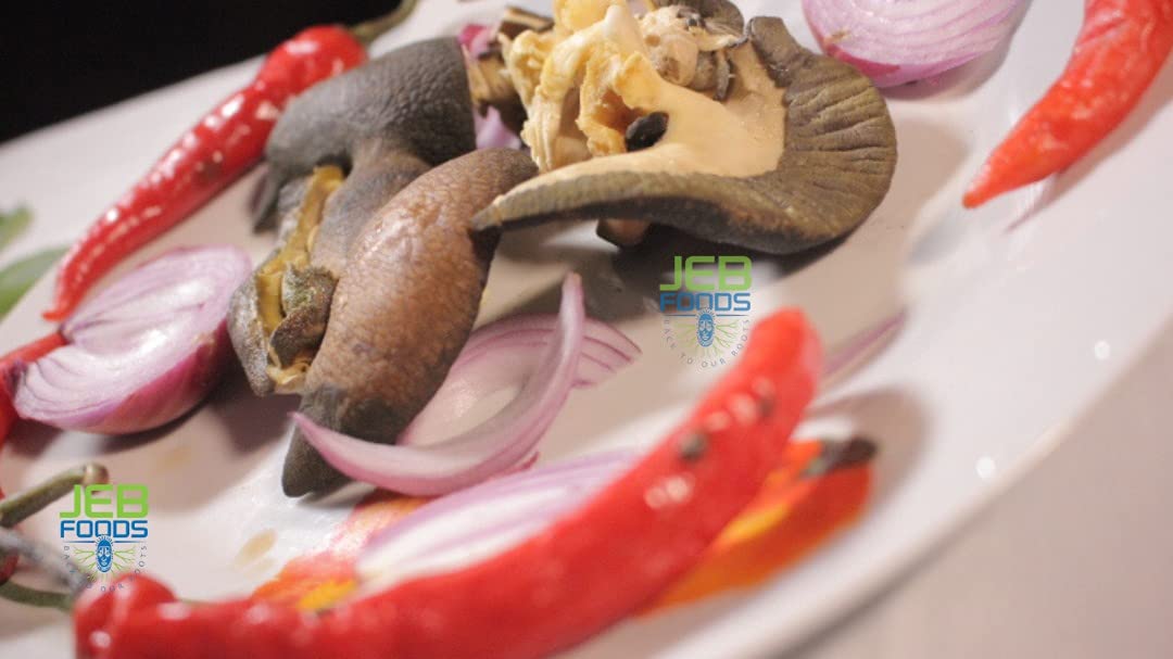 JEB FOODS Giant African land snail Jumbo Size Freeze Dried (3 In a Pack)