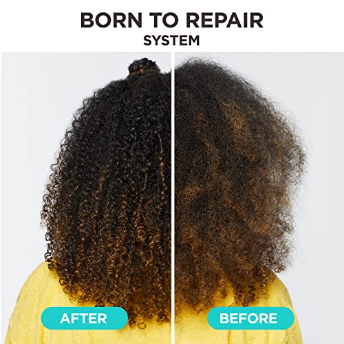 Carol's Daughter Born To Repair Reviving Hair Oil for Dry Damaged Hair & All Curl Types, Made with Shea Butter, 4.2 Fl Oz