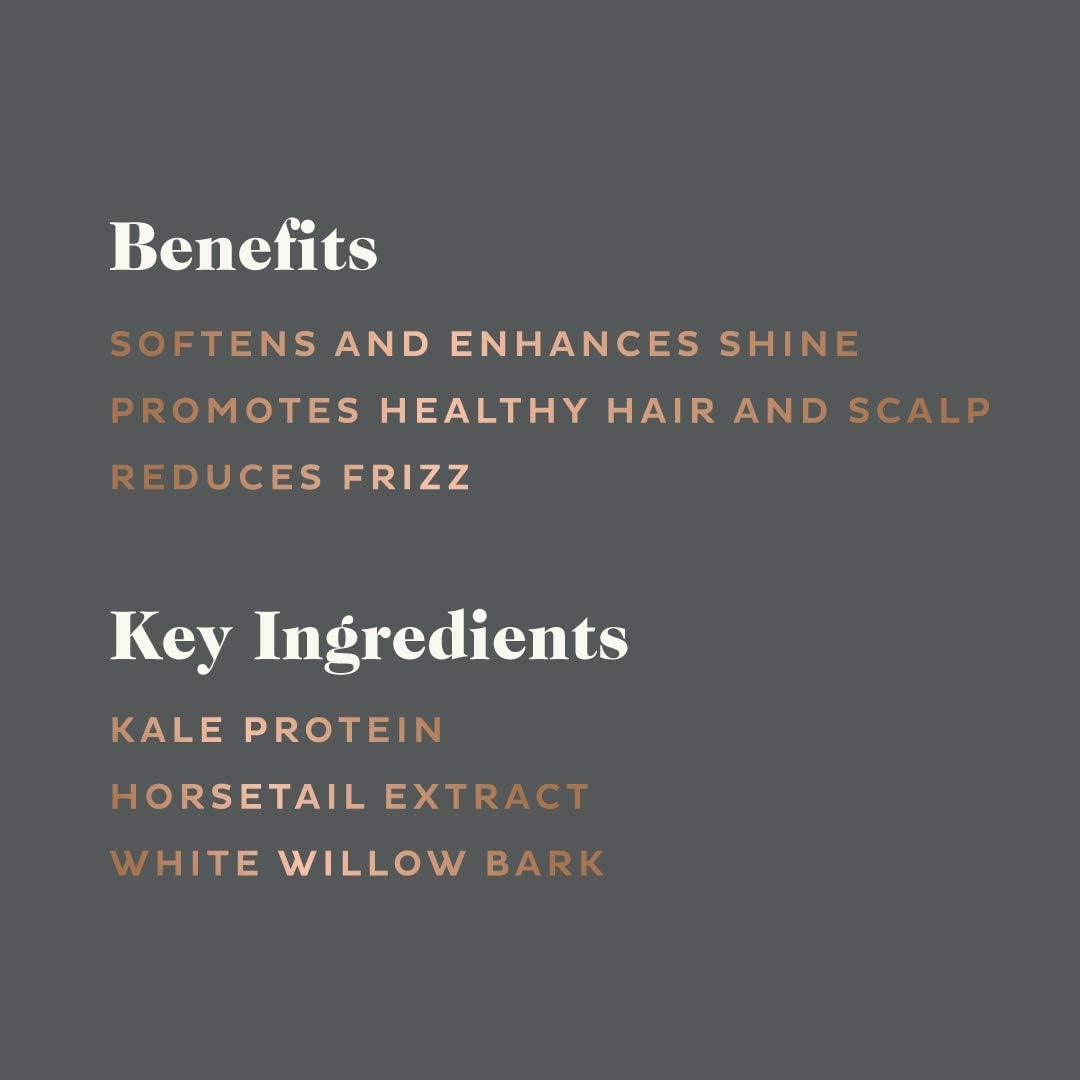 Scotch Porter Curls & Waves Hair Shampoo for Men | Gentle Hair Wash Promotes Softness, Shine & Scalp Health | Non-Toxic Ingredients, Free of Parabens, Sulfates & Silicones | Vegan | 13oz - 3 Pack