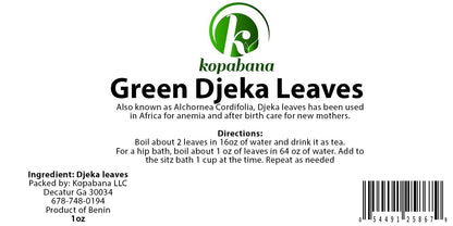 KOPABANA GREEN Djeka Leaves | ogymama | Alchornea Cordifolia dry leaves | Christmas bush | V steam herbs | Yoni care 1oz