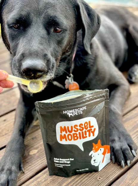 Homescape Pets Mussel Mobility - Green Lipped Mussel & Turmeric for Dogs - Hip & Joint Pain Relief Anti-Inflammatory Meal Topper Powder - Better Mobility, Less Stiffness and Aches - Vet Recommended