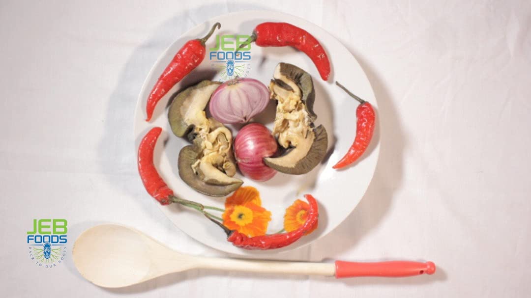 JEB FOODS Giant African land snail Jumbo Size Freeze Dried (3 In a Pack)