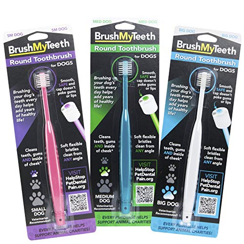 Brush My Teeth Big Dog Toothbrush, Rounded Brush Head with Soft Flexible Bristles for Safe and Gentle Brushing for Dogs, Any Large Breed or Puppy, Daily Brushing Adds Years of Healthy Life