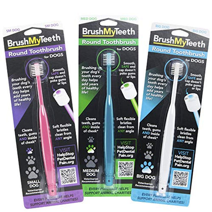 Brush My Teeth Big Dog Toothbrush, Rounded Brush Head with Soft Flexible Bristles for Safe and Gentle Brushing for Dogs, Any Large Breed or Puppy, Daily Brushing Adds Years of Healthy Life