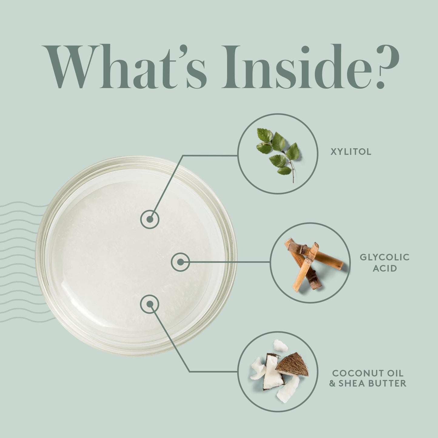 LivSo Moisturizing Scalp Shampoo - Moisturizes Hair & Scalp - Naturally Derived - Fresh Feel Product - A Little Bit of LivSo Goes a Long Way