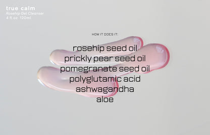 epi.logic True Calm | Rosehip Gel Cleanser 120 ml / 4.05 fl oz