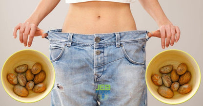 JEB FOODS African Bitter Kola Nuts, Bitter Kola Retro Garcinia, Petit Cola Nut, Obi Abata Cola Nut (8oz)