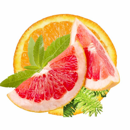 Butter By Keba Hydrating Paraben Free Plant Based Body Lotion Caribbean Citrus