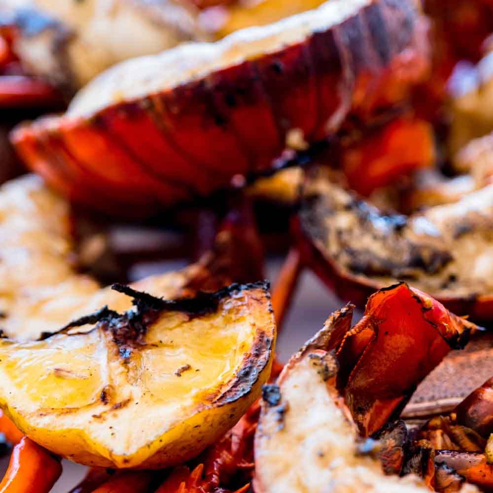 Aussie Style Surf & Turf BBQ Seasoning | Gourmet Seasoning | Artisan Spice Blend | All Natural | Non GMO | Made in USA | Small Batch | Bougie BBQ | Gustus Vitae | #868