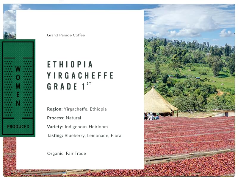 Grand Parade Coffee, 3 Lbs Organic Ethiopian Yirgacheffe Unroasted Green Coffee Beans, Low Acid Single Origin, Natural Grade 1 Specialty Arabica - Fair Trade