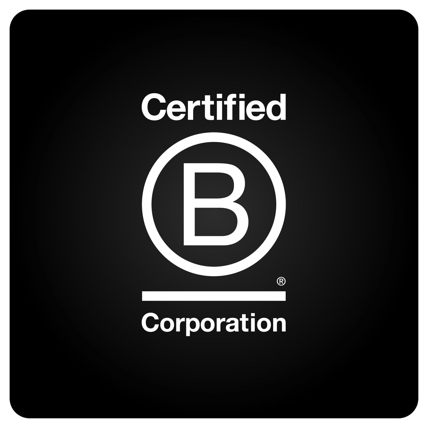 BLK & Bold Jasmine Loose Leaf Green Tea, Lightly Sweet & Floral, Smooth Aromatic Blend, 3 oz (2 Pack)