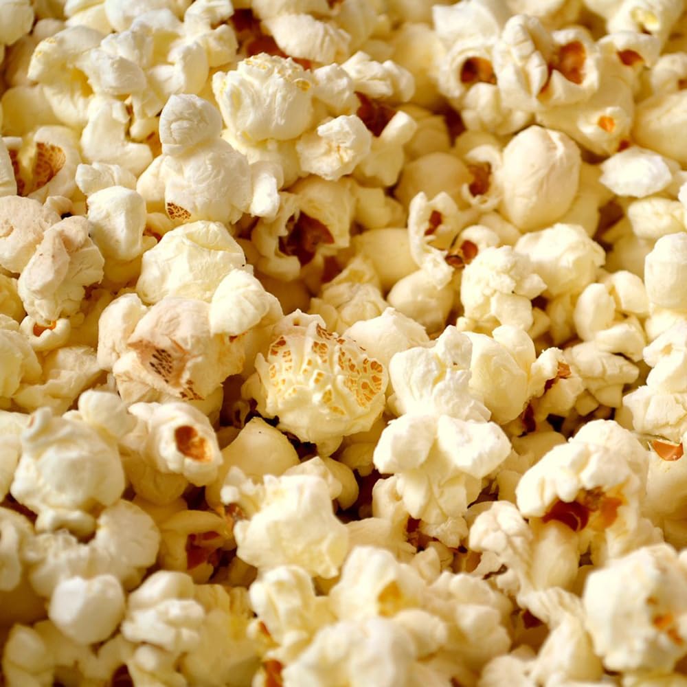 Everything But The Sweet & Salty Popcorn Seasoning | Hand Crafted | All Natural | Non GMO | 3oz (85g) | Gourmet Spice Mix | Small Batch | Artisanal Rub | Seasoning Pack | Magnetic Tin | Gustus Vitae | #232